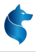 IGNITX Strategies